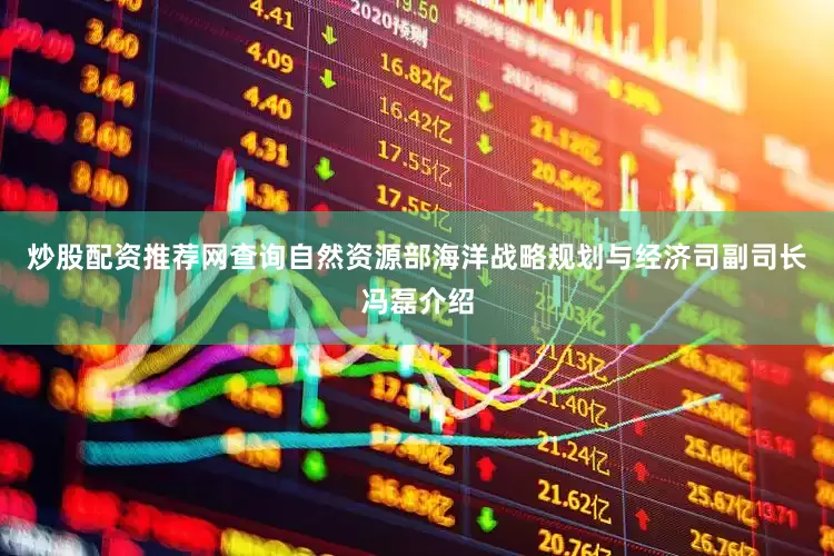 炒股配资推荐网查询自然资源部海洋战略规划与经济司副司长冯磊介绍