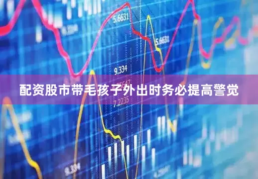 配资股市带毛孩子外出时务必提高警觉