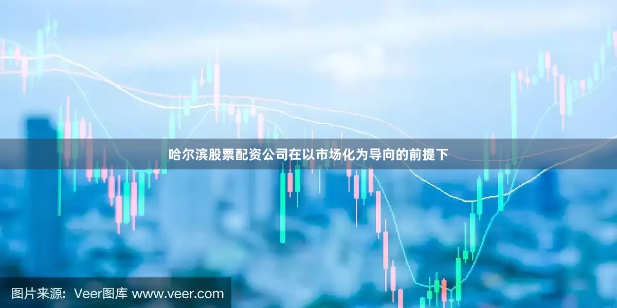 哈尔滨股票配资公司在以市场化为导向的前提下