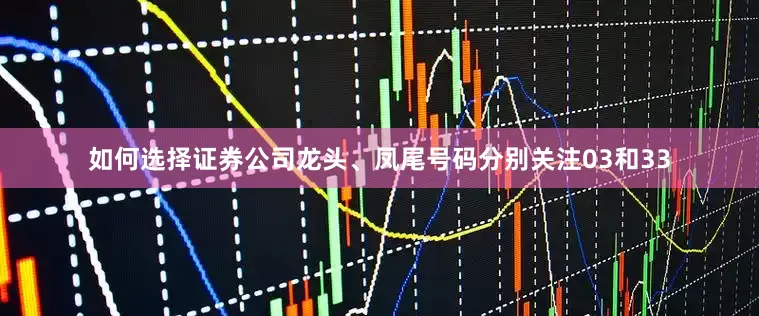 如何选择证券公司龙头、凤尾号码分别关注03和33