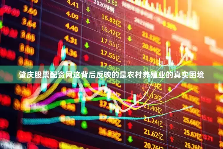 肇庆股票配资网这背后反映的是农村养殖业的真实困境